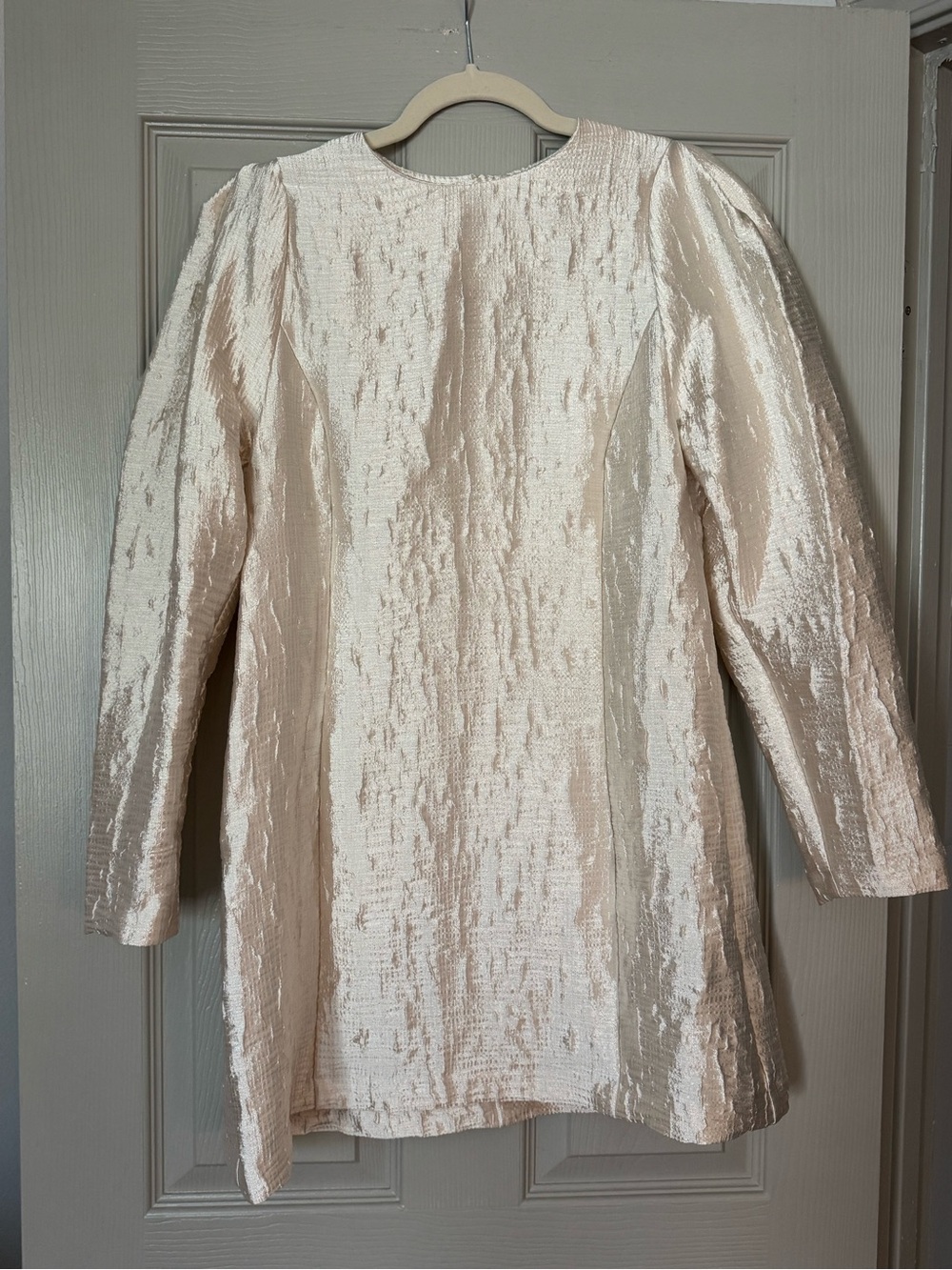 H&M Shimmery Champagne Mini Dress